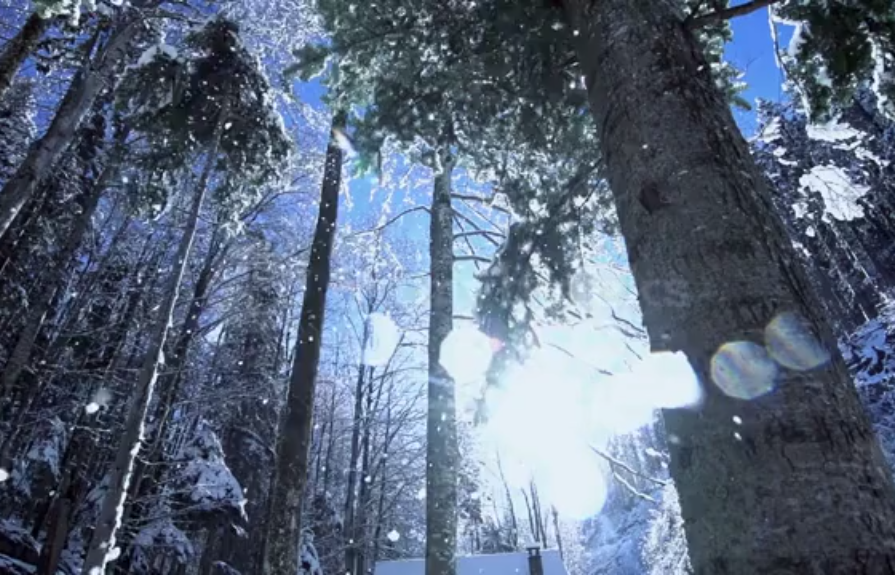 Meditation WebApp